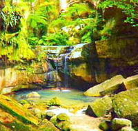 Carnarvon Gorge Carnarvon National Park - Accommodation Bookings