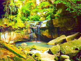 Carnarvon Gorge, Carnarvon National Park - Accommodation Bookings 0