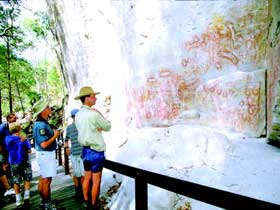 Carnarvon Gorge, Carnarvon National Park - Accommodation Bookings 1