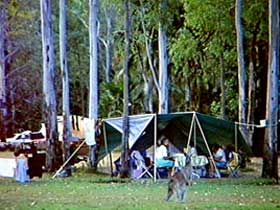 Carnarvon Gorge, Carnarvon National Park - Accommodation Bookings 2