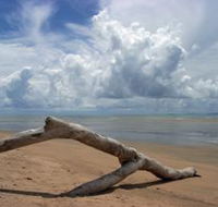 Toolakea Beach - Accommodation Bookings