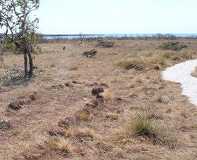 Wurrwurrwuy (Garanhan) Macassan Beach Interpretive Walk - Accommodation Bookings 5