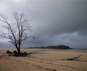 Dhamitjinya (East Woody Island) And Galaru (East Woody Beach) - Accommodation Bookings 3