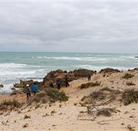 The Seaview Walking Trail - Accommodation Bookings