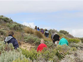 The Seaview Walking Trail - Accommodation Bookings 2