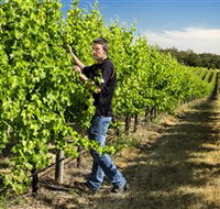 Patrick of Coonawarra - Accommodation Bookings
