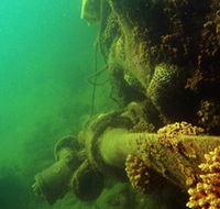 Wreck Diving at Magnetic Island - Accommodation Bookings