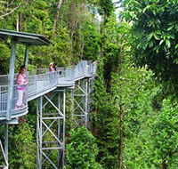 Mamu Tropical Skywalk - Accommodation Bookings