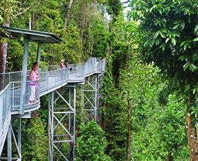 Mamu Tropical Skywalk - Accommodation Bookings 0