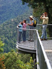 Mamu Tropical Skywalk - Accommodation Bookings 2