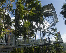 Mamu Tropical Skywalk - Accommodation Bookings 1