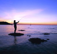 Fishing at Magnetic Island - Accommodation Bookings