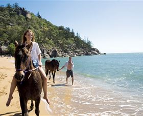Horseshoe Bay - Accommodation Bookings 1