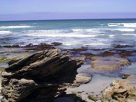 Canunda National Park - Accommodation Bookings 1