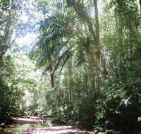 Mount Lewis National Park - Accommodation Bookings