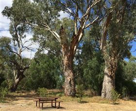 Bob Christensen Reserve - Accommodation Bookings 2