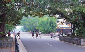 Kuranda - Village In The Rainforest - Accommodation Bookings 1