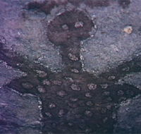 Quinkan Reserves Ancient Rock Art - Accommodation Bookings