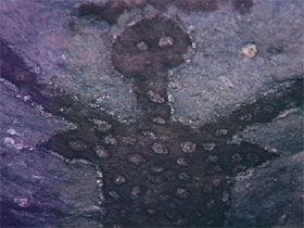 Quinkan Reserves Ancient Rock Art - Accommodation Bookings 0