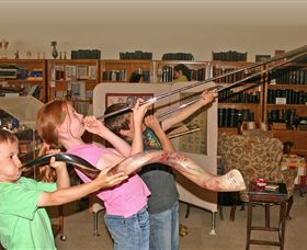 The Bible Museum - Accommodation Bookings 2