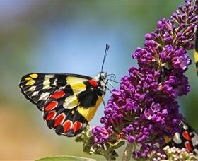 The Bible Museum - Accommodation Bookings 3