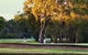 Deniliquin Golf Club - thumb 1