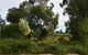 Yarrow Park - thumb 3