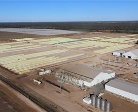 Southern Cotton Gin - Accommodation Bookings 0