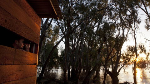 Murray Valley National Park - Accommodation Bookings 1