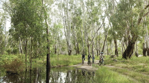 Murray Valley National Park - Accommodation Bookings 3