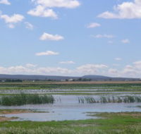 Fivebough Wetlands - Accommodation Bookings