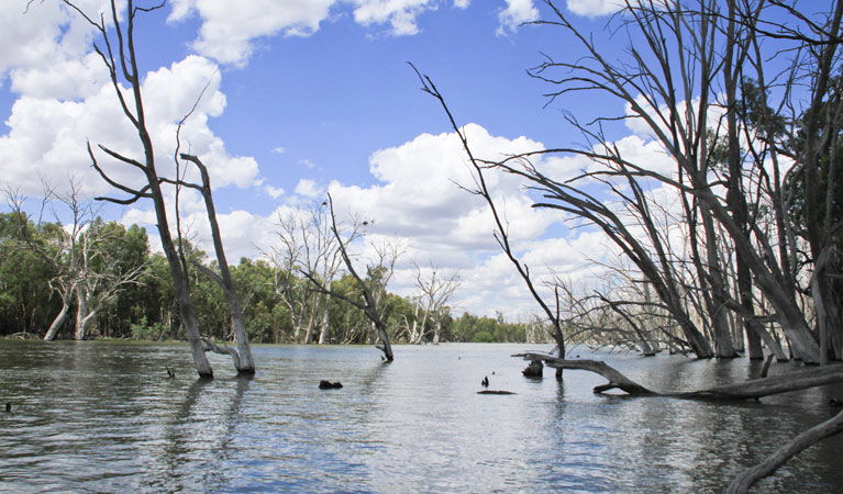 Corobimilla NSW Accommodation Bookings
