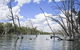 Murrumbidgee Valley National Park - thumb 0