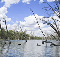 Murrumbidgee Valley National Park - Accommodation Bookings