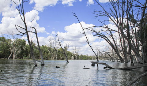 Murrumbidgee Valley National Park - Accommodation Bookings 0