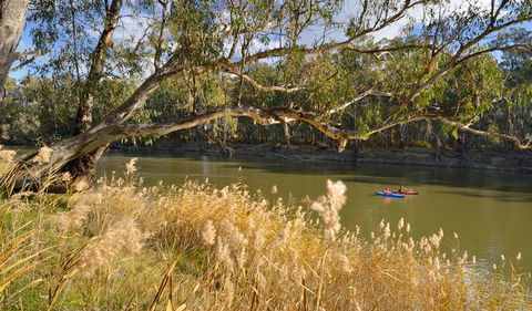 Murrumbidgee Valley National Park - Accommodation Bookings 3