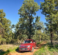 Forest drive - Accommodation Bookings