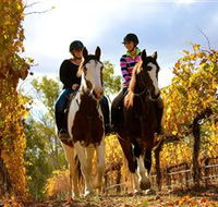 Billabong Ranch - Accommodation Bookings