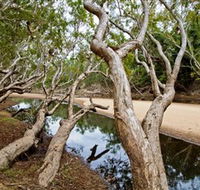 Oyala Thumotang National Park CYPAL - Accommodation Bookings