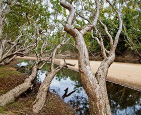 Oyala Thumotang National Park (CYPAL) - Accommodation Bookings 0