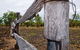 Oyala Thumotang National Park (CYPAL) - thumb 1