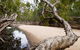 Oyala Thumotang National Park (CYPAL) - thumb 3