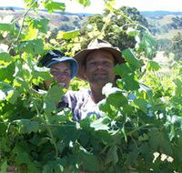 Wimmera Hills Winery - Accommodation Bookings