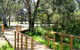 Green Corridor Walking Track - thumb 0