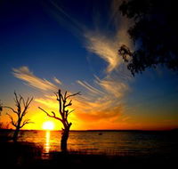 Lake Cowal - Accommodation Bookings
