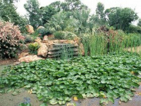 Mackenzie Park - Accommodation Bookings 0