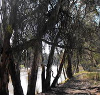 Mia Forest Drives Narrandera - Accommodation Bookings