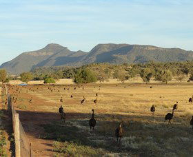 Emu Logic - Accommodation Bookings 0