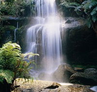Mount Buangor State Park - Accommodation Bookings