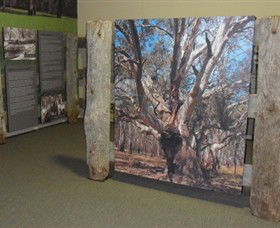 Barmah Forest Heritage And Education Centre - Accommodation Bookings 2